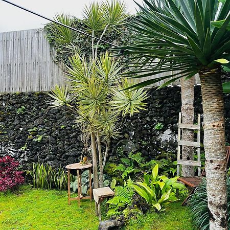 Villa Portugal House Praia do Norte Exterior foto