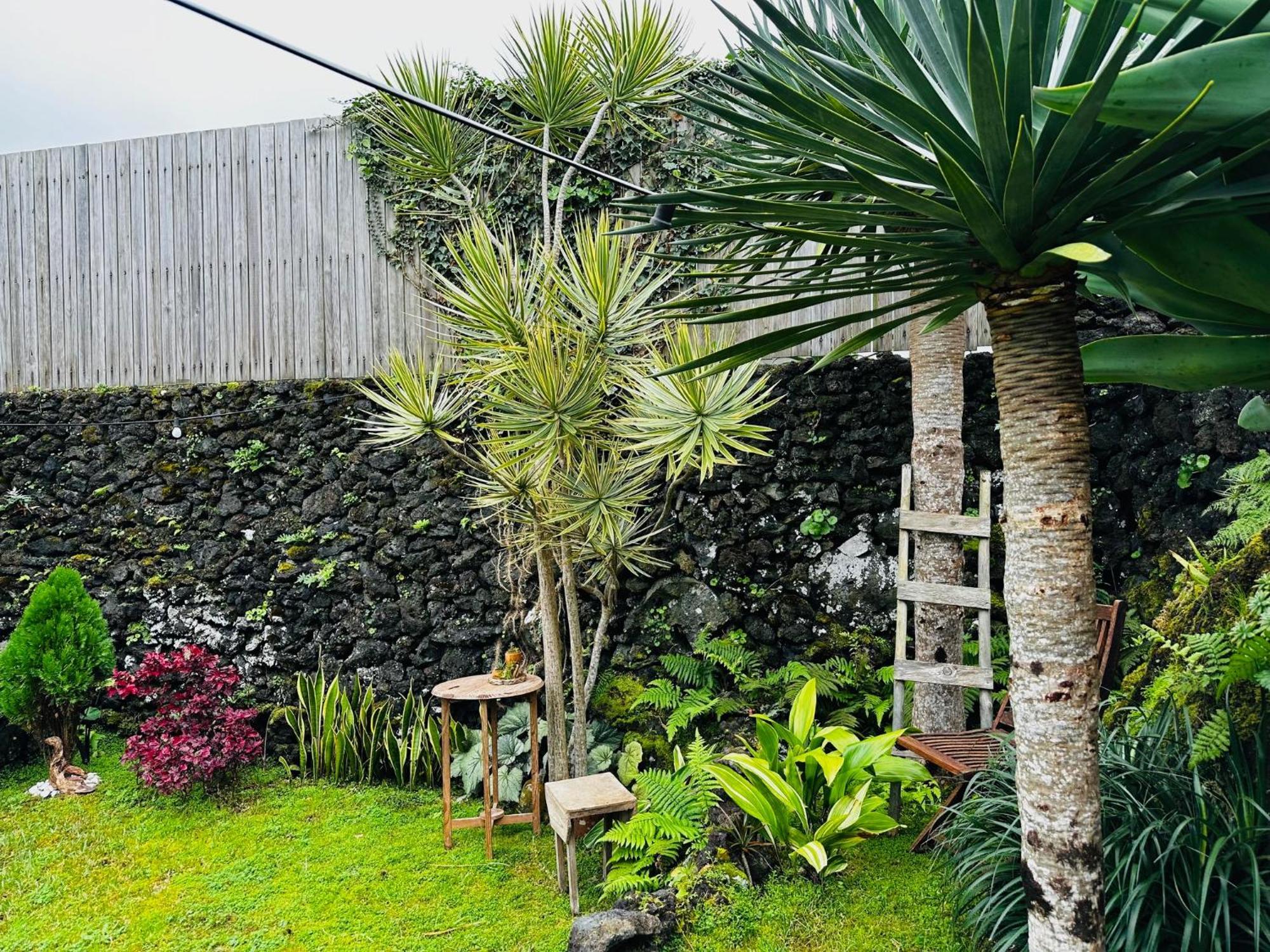 Villa Portugal House Praia do Norte Exterior foto